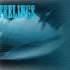 Feelings