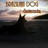 brazilian dog