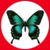 El Lepidopmac