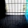 Trapped in illusion
