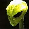 Alien Communication