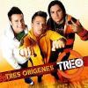 MI Fea-Grupo Treo
