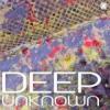 Deep Unknown (192 kbps)