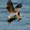Con el viento a favor