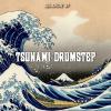 Tsunami Drumstep SNIPPET