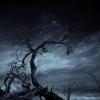 Mortus mortis (experimental insane)