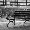 Base Rain