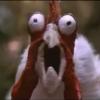 Estudio - encadenamientos de acordes relativos - La vida de un pollo