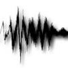 Acer voice
