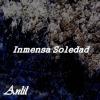 Inmensa Soledad