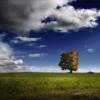 Imagenes sin Palabras (Dance Mix)