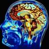 Brain Damage