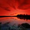 Summer Night