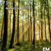 I Found You - remix (2010)