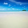 Paradise In My Mind