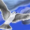 Sky fly