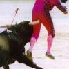Torero joputa