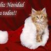 Blanca Navidad (Villancico)