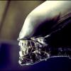 Lost in space