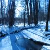 The Winter Song