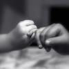The Promise