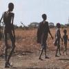 WALKING SKELETONS