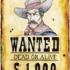 El Fugitivo_Versión Western ( 2008 )