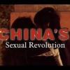 china's sexual revolution