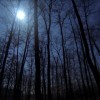 hijos de la luna y el viento