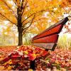 Autumn Leaves (ZzAJeerF/Maikelsolo)