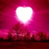 The essencie of love