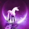 El Último Unicornio