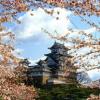 Japanese wedding