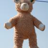 TeddySixDemo