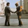 COVER PINK FLOYD "Wish you were here"