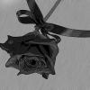 BLACK ROSE 2.0 (J.G. NAVALÓN/ RATON/ FANKEL/ SOUTELO/ SORKA)