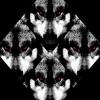 Ȼrudeath ◊ Hellglidex