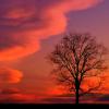 Rojo atardecer