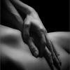 Seduccion Felina