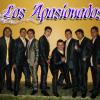 LOS APASIONADOS-AMIGO CON DERECHO NO