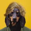 Muckystar get physical giorgio mix