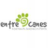 Entrecanes