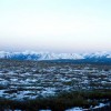 TUNDRA