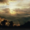 The Dawn of Life