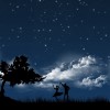 Recuerdos de una noche de verano