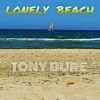 The lonely beach
