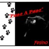 F.M - Prometo No Hacerte Llorar (Preview)