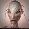 The Thousand Heads Woman