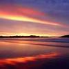 Loop Ocean