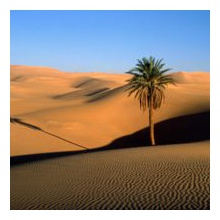 desert